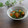 まろんかふぇ's cooksnap of when they made かぼちゃとピーマンのゴマ和え.