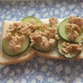 きらり流れ星's cooksnap of when they made 簡単☆便利♪とりそぼろ.