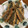 クックDI37P5☆'s cooksnap of when they made 香ばしい♪いわしのから揚げ.