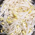 ぽぽりん's cooksnap of when they made 大豆もやしのゆで方.