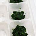 あや　ぱん's cooksnap of when they made 離乳食初期＊野菜②＊ほうれん草＊.