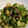 jsai's cooksnap of when they made オクラと茗荷の塩昆布和え.