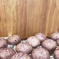 lockheart's cooksnap of when they made 生ブルーベリーとクリームチーズのパン.