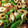 クック8SSYN0☆'s cooksnap of when they made ちくわとピーマンの甘辛炒め.