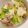 クックYL4K9T☆'s cooksnap of when they made 豚肉とネギキャベ中華炒め.