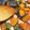 ぬい✽'s cooksnap of when they made 鶏とかぼちゃのうま煮.