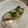 ゆりぱせり's cooksnap of when they made 白だしで簡単！朝食に さわらの白だし焼き.