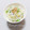 まあまま☆0403's cooksnap of when they made とろとろネギとしらすのご飯.