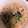 にゃんぶーー's cooksnap of when they made たこと枝豆と塩昆布の炊き込みご飯♪.