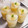 ３５９'s cooksnap of when they made ☆まるごと梨ゼリー☆.