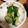 ういき☆彡's cooksnap of when they made きゅうりの柚子胡椒漬け.