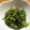 daikanon's cooksnap of when they made ヨウサマの減塩ピーマンのごま和え.
