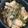 TeaMuffin's cooksnap of when they made チキン・カチャトーラ♪ クリスマスに！.