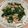 クックOR7U9A☆'s cooksnap of when they made 鶏むね肉とニラのオイスター炒め.