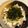 クック8GEQ0U☆'s cooksnap of when they made 海ぶどうで即一品(*^_^*).