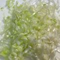 ハト子さん's cooksnap of when they made 料理男子必見だよ！長ねぎのみじん切り②.