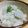 往きつ戻りつ's cooksnap of when they made ふっくら里芋ごはん.
