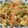 クックM6DK2O☆'s cooksnap of when they made 鶏むね肉とごぼうの彩り中華炒め.