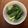 WackyRacer's cooksnap of when they made きゅうりの焼酎漬け.