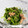 ぐりんぴ〜す♬'s cooksnap of when they made 《再生豆苗》のツナ和え.