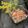 からあげパーティー's cooksnap of when they made 子どもも大好き♡簡単！手作り鮭フレーク.