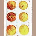食いしん坊ペンギン's cooksnap of when they made パウンドケーキ型でヨーグルトケーキ.