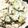 まぶたん's cooksnap of when they made *生おからサラダ*.