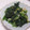 きらり流れ星's cooksnap of when they made ほうれん草のシンプル炒め.