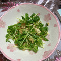 クック5JVRUQ☆'s cooksnap of when they made 豆苗と天かすの豆板醤オガタ和え.