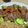 amo♥♥'s cooksnap of when they made 砂肝の辛味あえ.