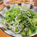 あんみつ☆'s cooksnap of when they made 大量消費！ キャベツとしらすの和え物.