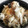 めぐちーま's cooksnap of when they made 炊飯器で簡単！鯛めし。.
