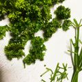 ponpocojp's cooksnap of when they made いつでも★緑のきれいな冷凍パセリ♪.