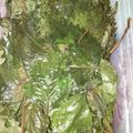 ﾌﾞﾚﾝﾀﾞ's cooksnap of when they made ごま油香る大葉の塩漬け.