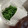ひっこ's cooksnap of when they made 小ネギの保存[冷蔵].