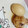 クックA35QVB☆'s cooksnap of when they made 冷凍手羽元とたまご★簡単煮物.