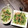 s06007's cooksnap of when they made 水菜と舞茸のピリ辛炒め.