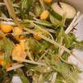 クックS5N2AF☆'s cooksnap of when they made 簡単、時短の水菜のサラダ.