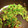 マム's cooksnap of when they made ＊ピーマンのおかかマヨ醤油炒め＊.