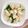 クック6U7INU☆'s cooksnap of when they made 小松菜と豆腐の中華白和え.