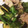 クックZFKRE9☆'s cooksnap of when they made 茄子とピーマンの肉味噌炒め.