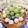 momomagu's cooksnap of when they made とっておきのニューヨークチーズケーキ.