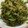 やなユミ's cooksnap of when they made ピーマンの簡単ごま和え【作り置き】.