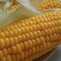 まるおくら's cooksnap of when they made 簡単うまい！圧力鍋　塩　とうもろこし.