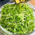 ♡マッキークッキング's cooksnap of when they made 【豆苗】ガーリック・オイルのサラダ.