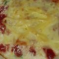 ★なおなおっち☆'s cooksnap of when they made スコップコロッケとピザ風を合わせました！.