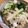 zushishi's cooksnap of when they made 鯛めし.