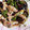 ごはん好きパンも好き's cooksnap of when they made 【揚げない】鶏肉と夏野菜の南蛮煮.