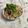 ナピト's cooksnap of when they made ☆鮭フレークとわかめの混ぜご飯☆.