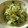 こうまさmam's cooksnap of when they made さっぱり★もやしとキャベツの塩昆布和え.